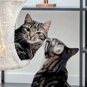 Lilith and Boomerang